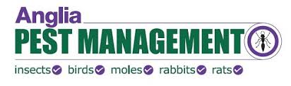 Anglia Pest Management - Pest Control