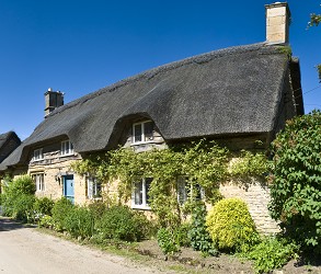 Higos Insurance Services Ltd - Brown & Brown - Thatch Property