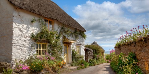 Saffron Insurance (Ardonagh) - Thatch Insurance Specialist