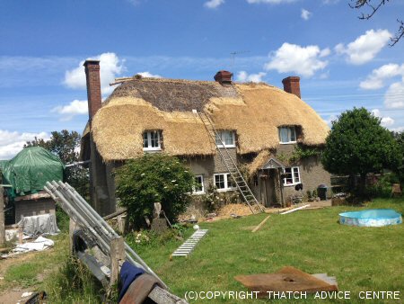 Big Thatch Job