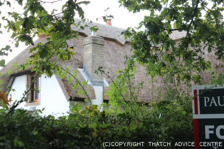 Buying a Thatch Cottage