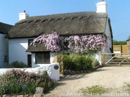 Cute Thatched Cottage
