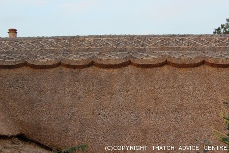 Scallop Ridge with Lattice Work