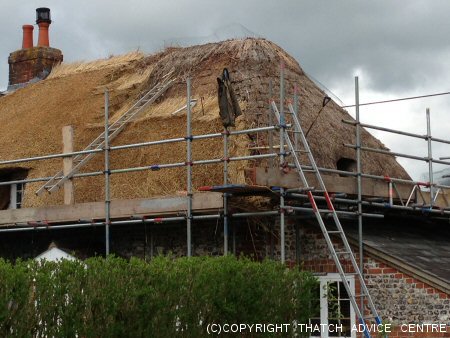 Thatching Work in Progress