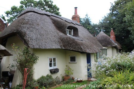 Very Pretty Cottage