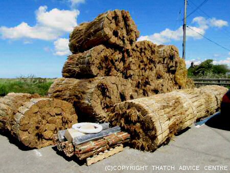 Water Reed Stack